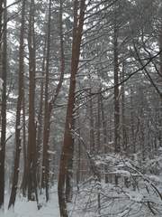 相识就像是一场梦