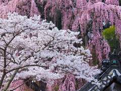 all for love 梦尽: 六