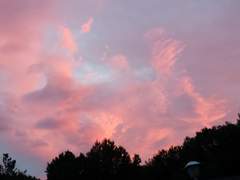 [후시이타] 후시구로의 휴일