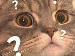 127막내 김여주 모먼트 EP.10