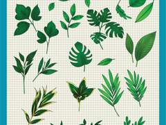 [굿노트][스티커] 나뭇잎 스티커