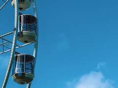 어디든 함께 가요.