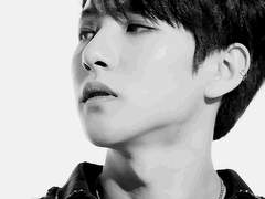 평분춘색 ; 平分春色 (노란 수선화)