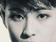 평분춘색 ; 平分春色 (로벨리아)