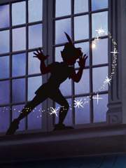 Apologize_사과하다