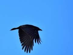 비록 멈춘 시계가 머무를 계절이 겨울이라 해도