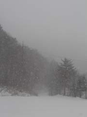 첫번째 망상글.zip