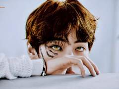 [뷔진] 고양이인 줄 알고 주웠습니다