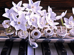 이전보다 더 솔직하게