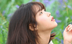 봄 안녕 봄 (hi spring bye)