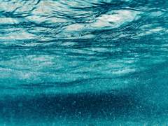 Just pull the plug *