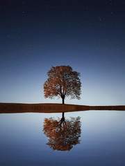 트위터 썰 백업