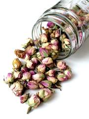 병 속에 담긴 단편들