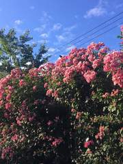 당신의 섬 :: 인문예술을 그대에게