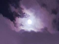 [BL] 월려무(月勵舞) : Prologue