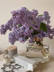 라일락의 거짓말