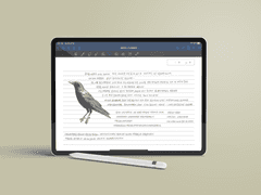 간단 다이어리 서식 배포