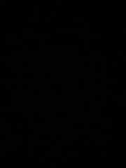 뉴욕의 아침으로는 빵이 제일이다