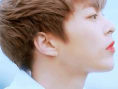 냉정과 다정 사이 6