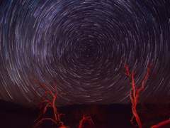 프레이야 월드 설정