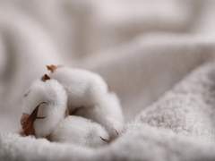 한낮의 꽃은 비록 시들었으나,