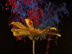 [Crossick] 애착과 집착 上