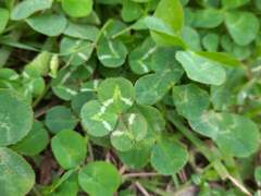 다시 만나고 말았다