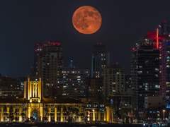 호호열전 虎狐熱戰 - 上