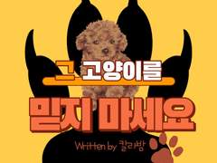 그 고양이를 믿지 마세요 6