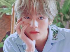 [국민뷔/뷔민국] 치타, 사자. 넌 뭐야?