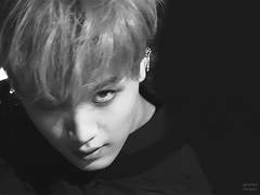 센티넬 알러지 9