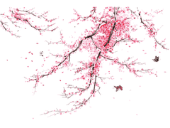 마법학교 화술당 21