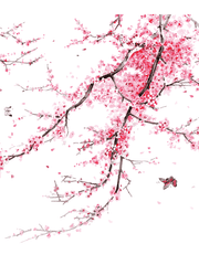 마법학교 화술당 season 1