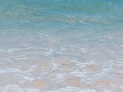 🐺 거기 비켜봐!!!