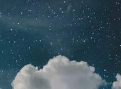 Cynthia W. Night - Profile