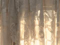 우리는 땅에서 태어나 하늘로 간다.