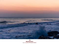 오랜만이야. 애들아