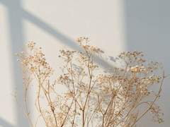 이 연 22 XX 성불