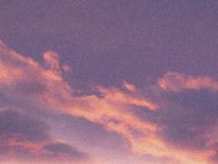 자가 호흡(自家呼吸).