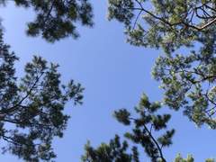 마음이 녹는 기분.