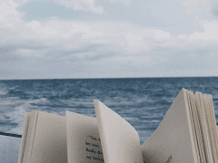 토코치 테이나 / 여