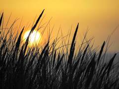 [망기무선/번역] 금빛은 바랠 수밖에