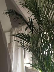 [우시히나] 약속