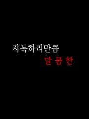 지독하리만큼 달콤한