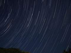 셔먼 리 짝사랑 로그