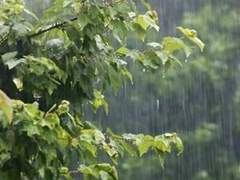 [셋링/셋린]여름 바람이 달빛에 닿을 때 2