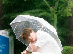 비와 우드향 향수