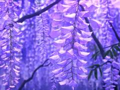 눈떠보니 귀멸의 칼날 세계관 프롤로그