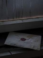 누군가 이 편지를 보게 된다면