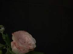 사랑하는 아저씨